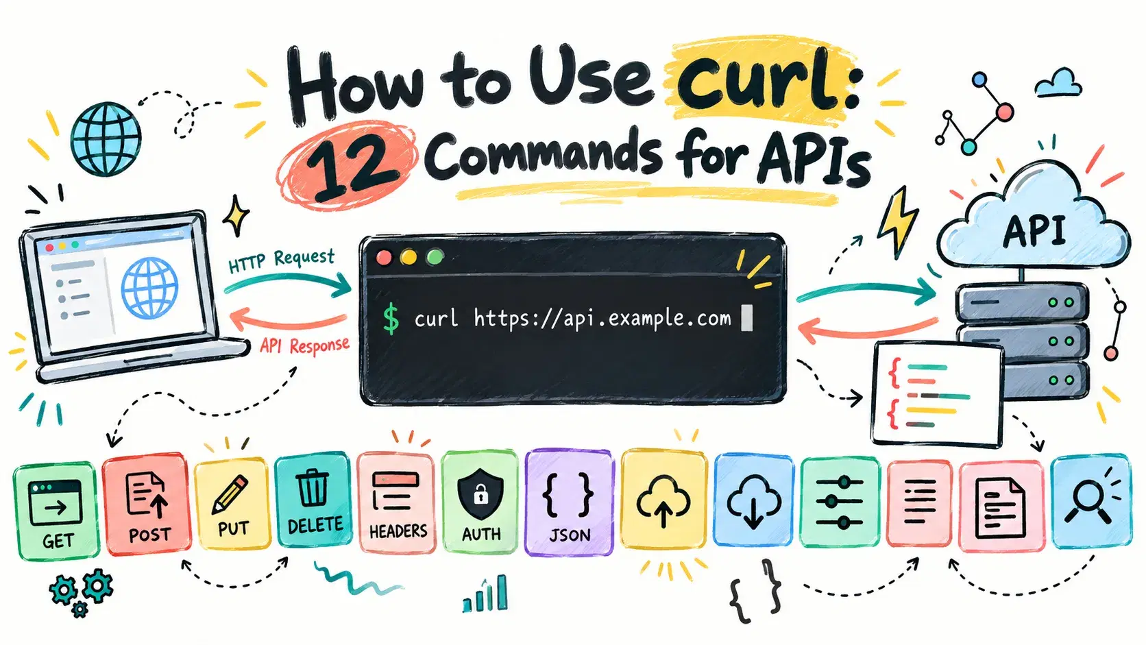 How to Use curl: 12 Commands for APIs