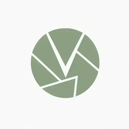 ImageVivid logo