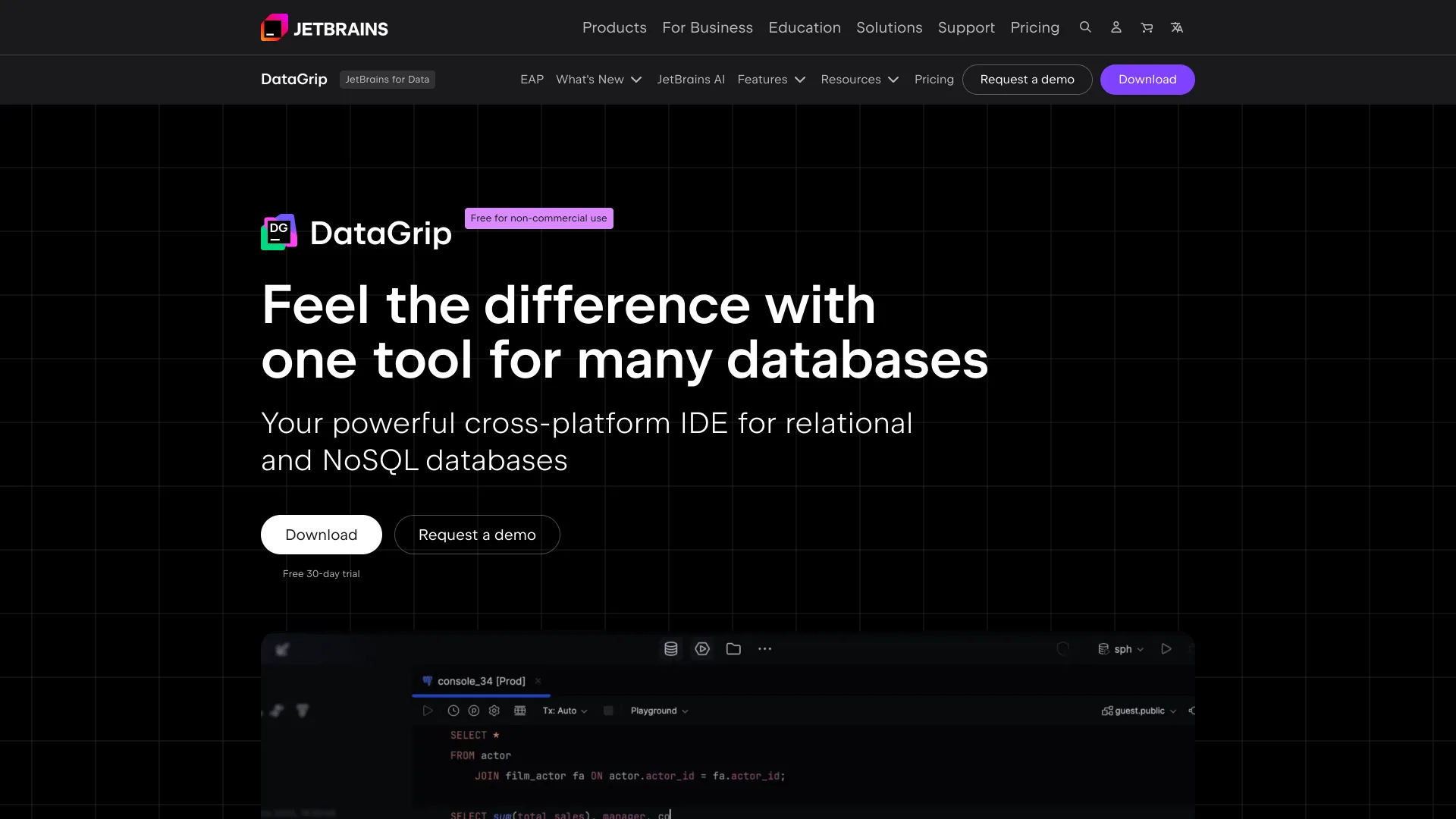 DataGrip homepage headline "Feel the difference with one tool for many databases" with a "Free for non-commercial use" label